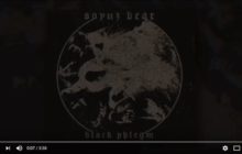 SOYUZ BEAR - Human Vanity